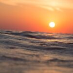 Waikiki Sunset Cocktail Cruise - Hilton Hawaiian Village - What Is Included in the Cruise Experience?