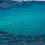 Waikiki Trolley Hop-On Hop-Off Tour of Honolulu - The Tours Core Offering: Flexibility and Scenic Passages