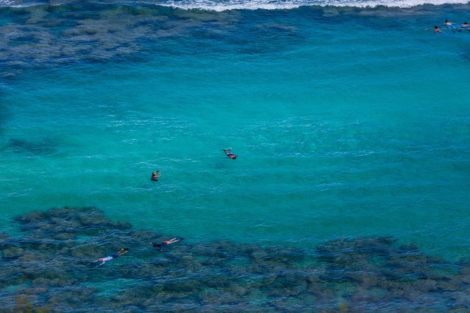 Waikiki Trolley Hop-On Hop-Off Tour of Honolulu - The Tours Core Offering: Flexibility and Scenic Passages
