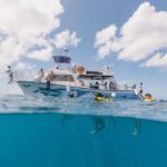 Waikiki Turtle Canyon Snorkeling with Hula Show - The Boat and Snorkeling Equipment