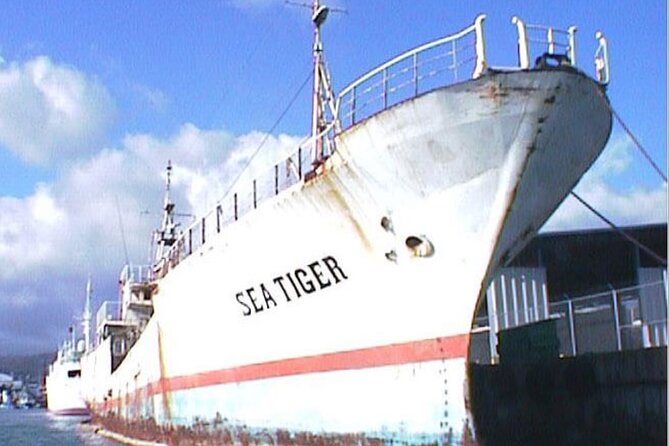 Waikikis Best Wreck And Reef Dive - Wreck Diving at Waikiki’s Iconic Sites