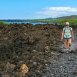 Wailea Wildlife Tour with Snorkeling - Experience the Best of Maui’s Marine Life at Turtle Town