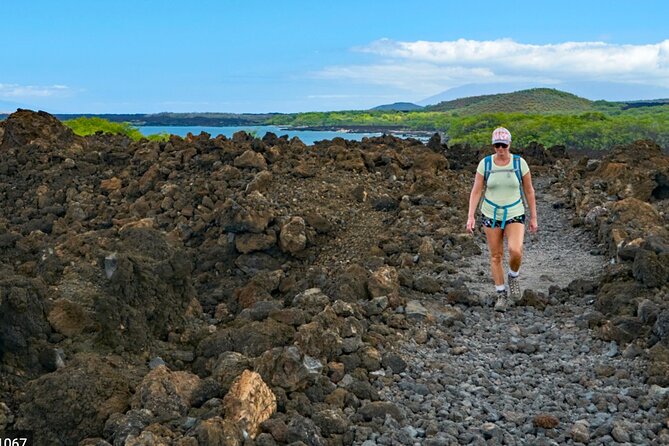 Wailea Wildlife Tour with Snorkeling - Experience the Best of Maui’s Marine Life at Turtle Town