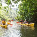 Wailua River Paddle - What to Expect During the Tour