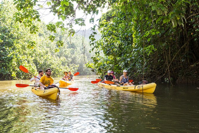 Wailua River Paddle - What to Expect During the Tour