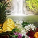 Wailua River & Waterfalls Kayak Tour: Expert-Guided Adventure - The Journey to Secret Falls