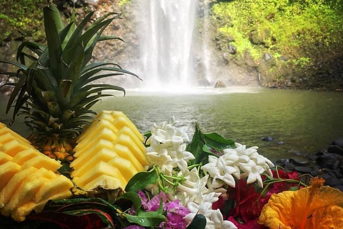 Wailua River & Waterfalls Kayak Tour: Expert-Guided Adventure - The Journey to Secret Falls