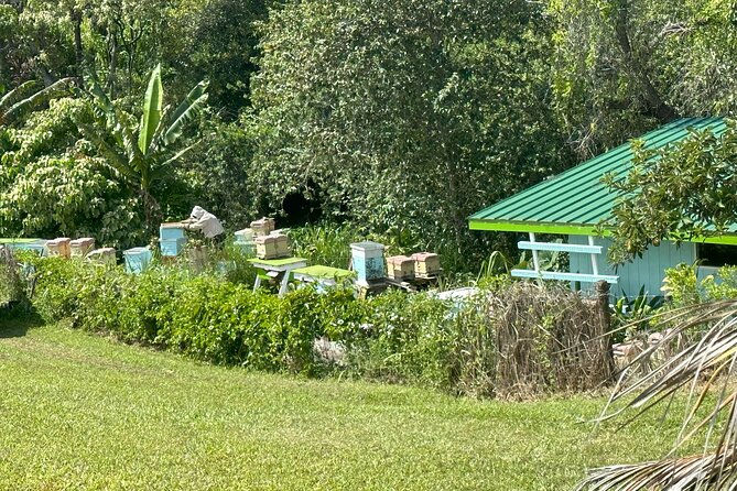 Waipio on Horseback: Mountain Ocean Views Working Cattle Ranch - Starting Point at the Honokaa Ranch