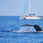 Wake Up With the Whales Cruise from Anaeho'omalu Bay - The Comfortable Catamaran: Stability and Space for Prime Viewing