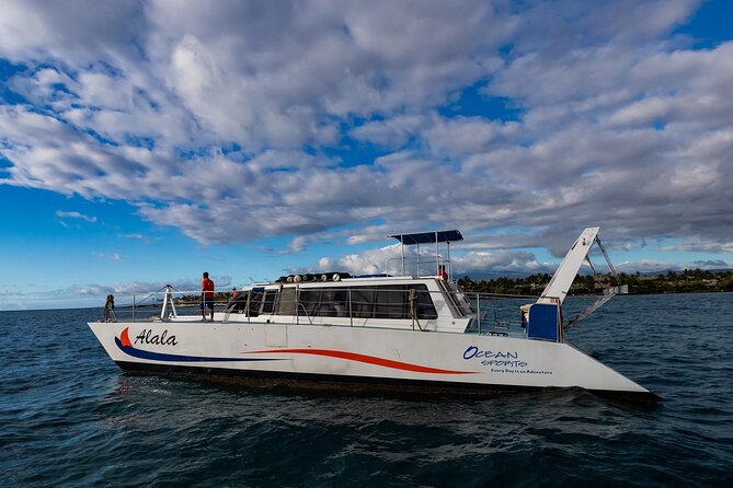Wake up with the Whales Cruise from Kawaihae Harbor - The Spacious Catamaran and Onboard Comforts