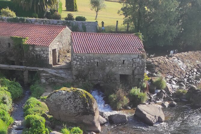 Walk The Camino&Santiago de Compostela Private SHORE Tour - The Camino Walk: 4-5 Kilometers of Spiritual and Scenic Pathways