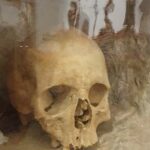 Walk Tomar with a Local : Knights, Myths, Culture & Secrets - Discovering the Castelo de Tomar