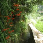 Walking Experience in the Serra D'Água Valley - What Makes the Route Through Serra DÁgua Special