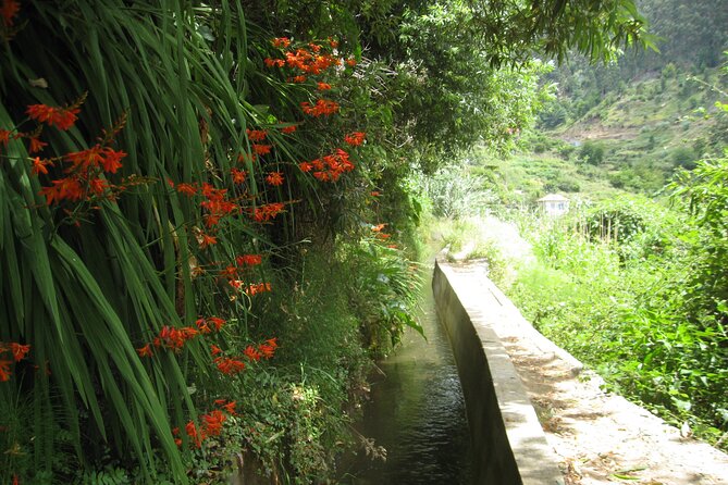 Walking Experience in the Serra D'Água Valley - What Makes the Route Through Serra DÁgua Special