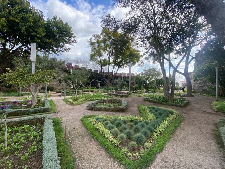 Walking tour of Tavira/Ilha de Tavira/Barril/Santa Luzia - Starting Point at Mercado Municipal de Tavira
