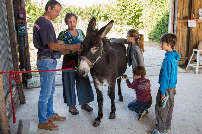 Walks and hikes with donkeys - How the Tour Introduces Donkey-Hiking Safety and Care