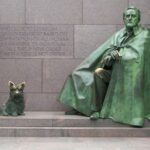 Washington DC 3 Hour Day Tour - Visiting the U.S. Capitol from the West Lawn