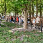 Washington DC Day Trip by Bus from New York City - Touring the U.S. Capitol and White House