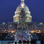 Washington, DC: National Mall and Memorials Moonlight Tour - Exploring Washington, DC’s Iconic Illuminated Sights