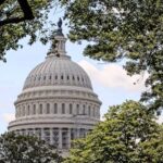 Washington DC: Nighttime Express Sightseeing Tour - Meeting Point and Transportation