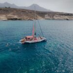 Watching and Listening Whales visiting Los Gigantes&Masca. Food&drinks included - Sailing Along the Spectacular Los Gigantes Cliffs