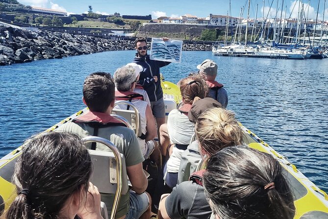 Watching whales and dolphins on Terceira Island - Starting Point at Water4fun in Angra do Heroísmo