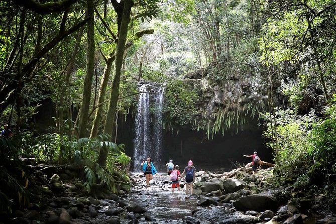 Waterfall & Rainforest Hiking Adventure with Hotel Pickup - The Scenic Drive to Maui’s Hidden Valleys