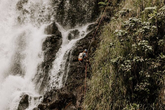Waterfall Rappelling at Kulaniapia Falls: 120 Foot Drop, 15 Minutes from Hilo - The Safety and Instruction Process