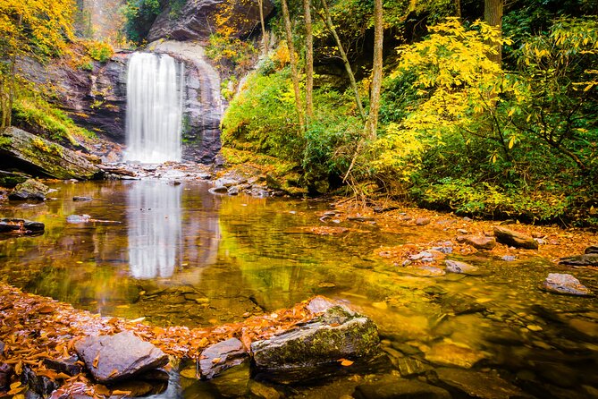 Waterfalls and Blue Ridge Parkway Hiking Tour with Expert Naturalist - Visiting Looking Glass Falls: A Iconic Waterfall