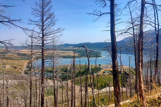 Waterton National Park Adventure Day tour from Calgary - Wildlife Viewing at the Bison Paddock