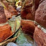 Waterton National Park Premium Day Tour - The Convenience of Pickup at Calgary Hotels or Downtown