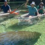 Weeki Wachee Clear Kayak Ecotours Manatee Season - November 14th-March 31st - Logistics: Meeting Point and Group Size