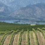 Wenatchee River Family Float Trip - The Wenatchee River: A Gentle Waterway for All Ages