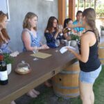 West Kelowna Gallery Of Grapes Wine Tour - Comfortable Transportation and Small Group Atmosphere