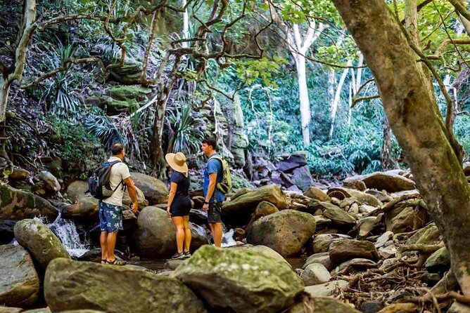 West Maui Adventure Tour with Private Guide - Explore Scenic Coastal Trails at Kapalua