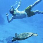 West Maui Half Day Snorkel from Kaanapali Beach - Start Point and Timing at Kaanapali Beach