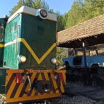 West of Belgrade: Woodentown, argan 8 train & Drina River - The Details of the Western Serbia Day Trip