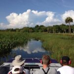 Western Everglades Adventure Tour - Exploring the Corkscrew Watershed Marsh Trails