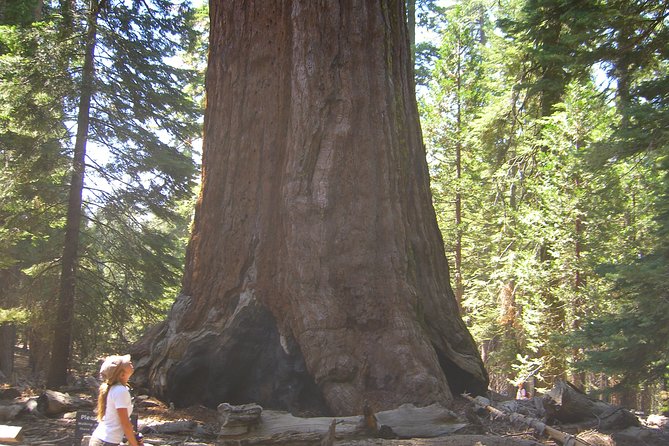 Western National Parks 7 Day Explorer Lodging - Bryce Canyon’s Hoodoos and Geological Wonders