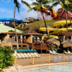 Wet 'n' Wild Waterpark Admission Ticket w/ Waikiki Transportation - Rides and Attractions at Wet n Wild Hawaii