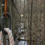 Wetland Zip Tour - The Nine Zip Lines Through Wetlands