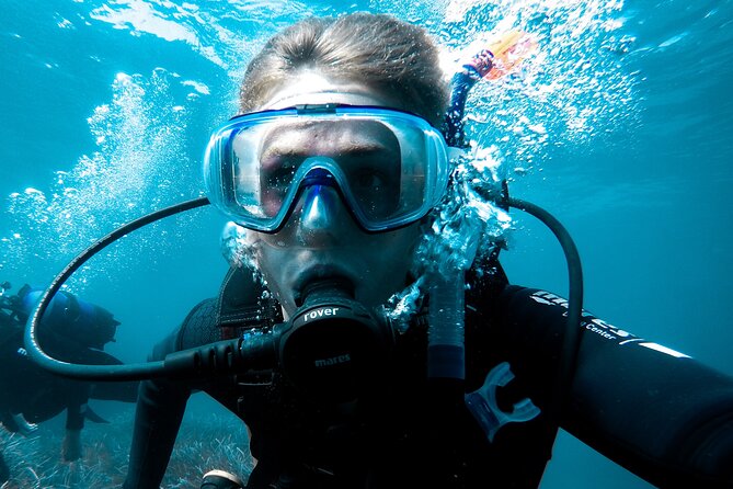 Whale and Dive Combo Tour in Los Cabos - Exploring the Marine Environment Near the Whales