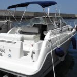 Whale and Dolphin Watching Tour in Madeira - Scenic Views of Madeira from the Water