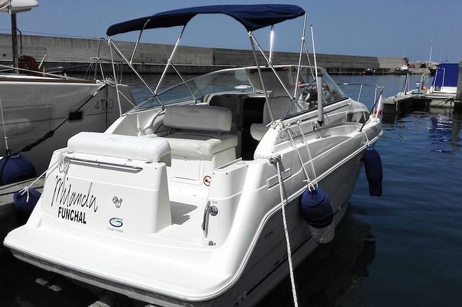 Whale and Dolphin Watching Tour in Madeira - Scenic Views of Madeira from the Water