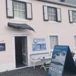 Whale and Dolphin Watching Tour on Pico Island - The Boat Experience with Bela Vista Travel