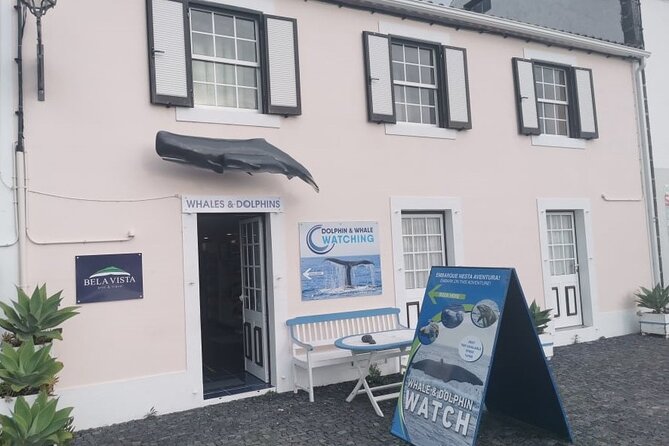 Whale and Dolphin Watching Tour on Pico Island - The Boat Experience with Bela Vista Travel