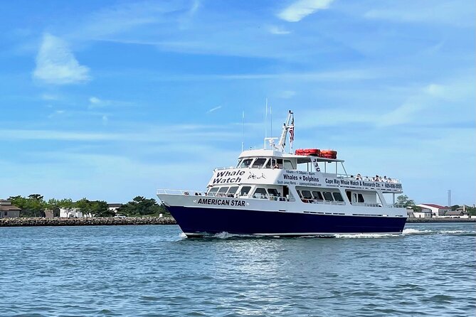 Whale Dolphin and Bird Watching Ecotour Cruise - Searching for Dolphins Along the Shoreline