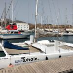 Whale & Dolphin Observation on Silent Catamaran with Hydrophone - The Fully Electric Catamaran in Lanzarotes Marine Conservation Efforts