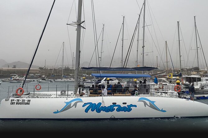 Whale & Dolphin Watching With Mustcat Virgin Coast Trip On a Large Catamaran - The Purpose of the Trip: Whale and Dolphin Watching