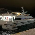 Whale Safari in Tromso - Meeting Point and Departure Logistics